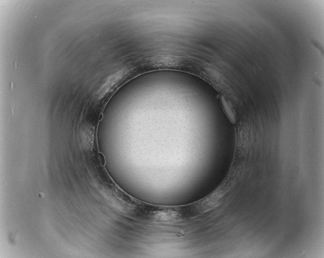 X0000100980168200807011451