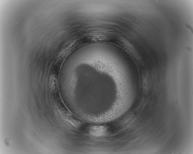 X0000100980169200807011451