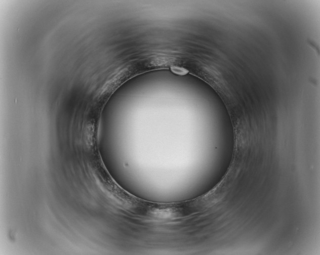 X0000100980171200807011451