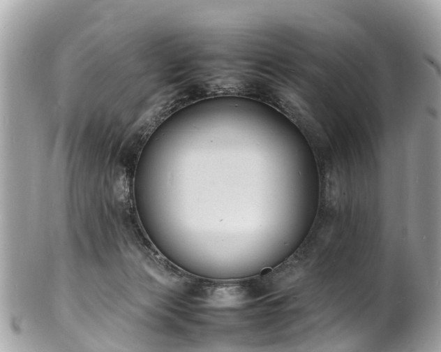 X0000100980173200807011451