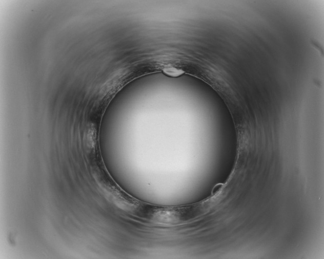 X0000100980174200807011451