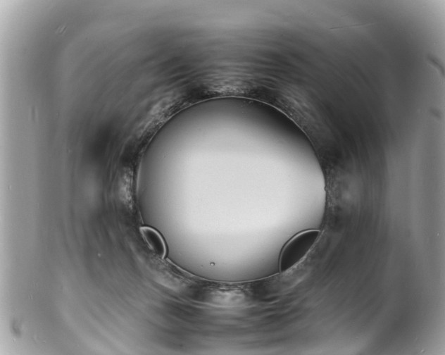 X0000100980175200807011451