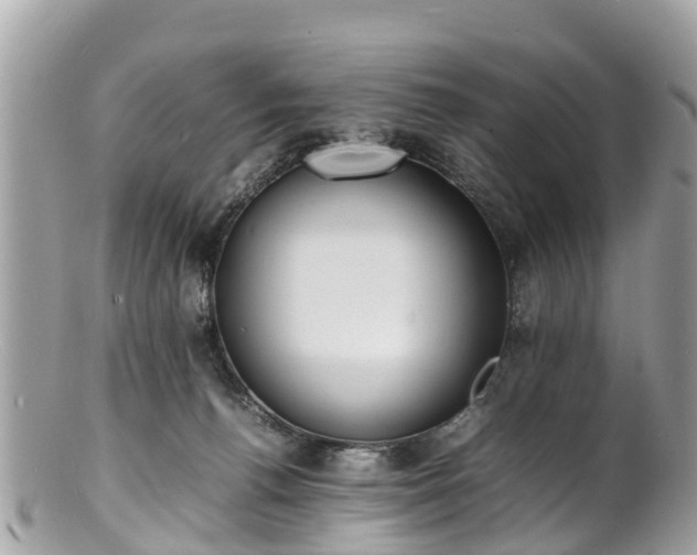 X0000100980176200807011451