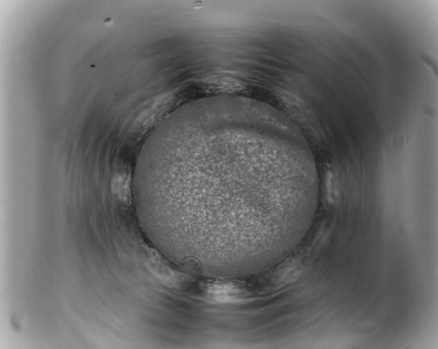 X0000100980177200807011451