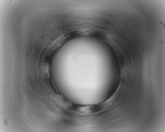 X0000100980178200807011451