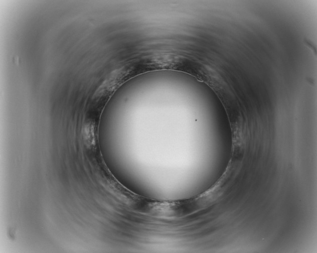 X0000100980182200807011451