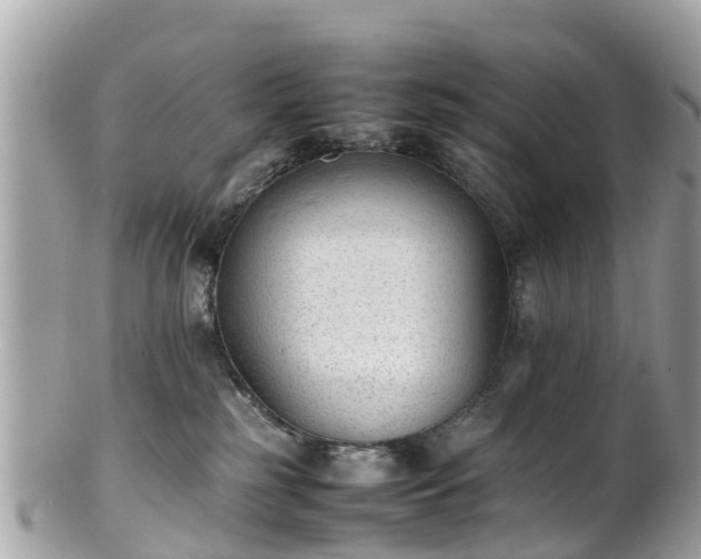 X0000100980185200807011451