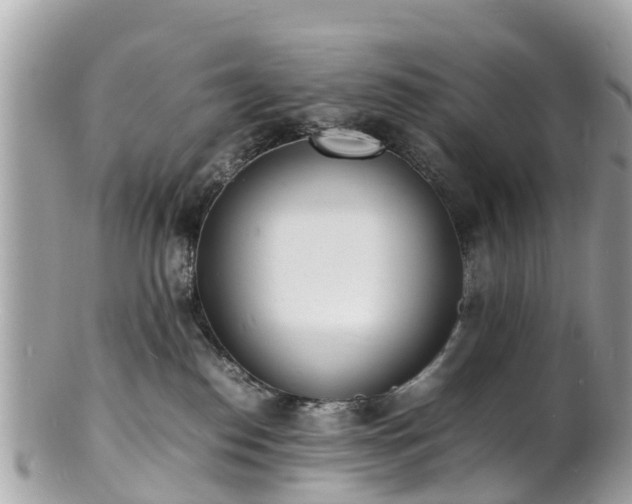 X0000100980186200807011451