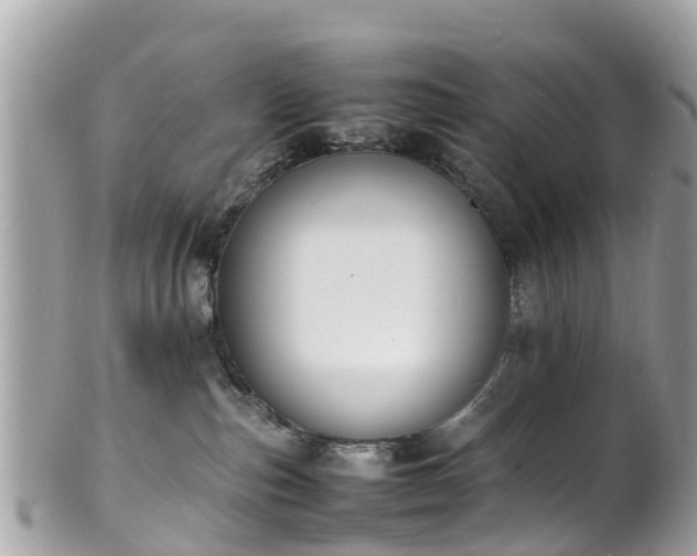 X0000100980187200807011451