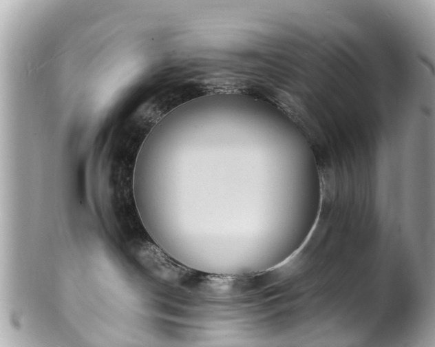 X0000100980190200807011451