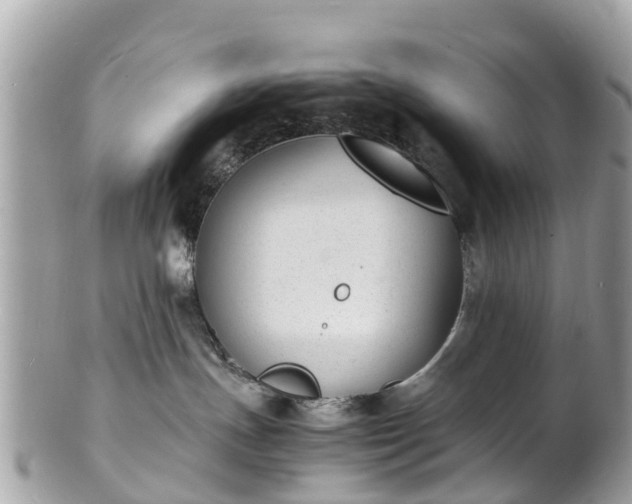 X0000100980191200807011451