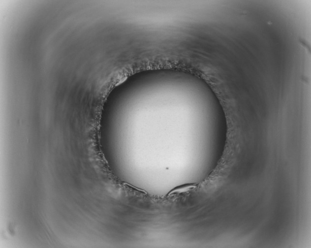 X0000100980192200807011452