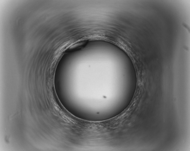 X0000100980193200807011451