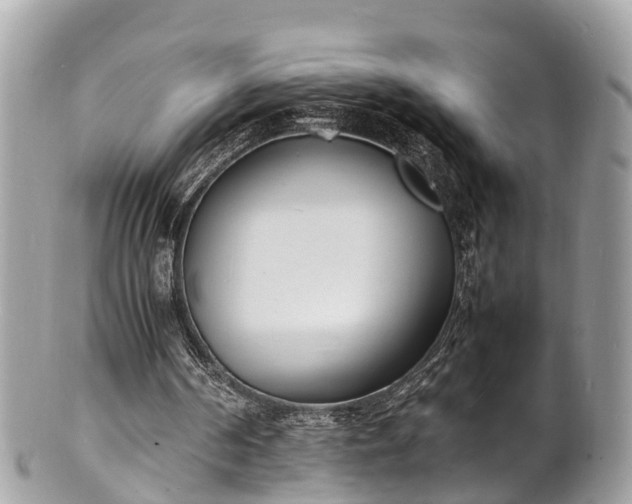 X0000100980194200807011451