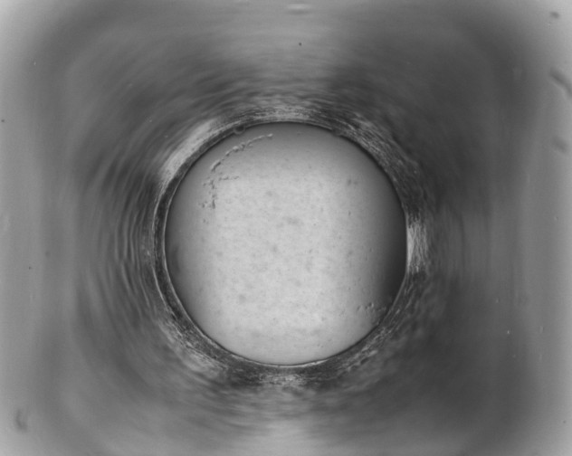 X0000100980195200807011451