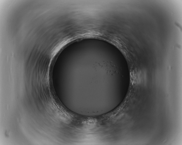 X0000100980196200807011451