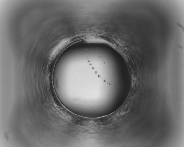 X0000100980197200807011451