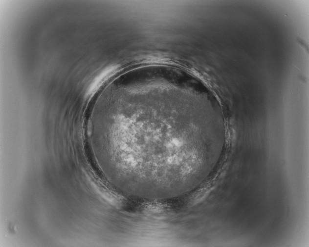 X0000100980199200807011451