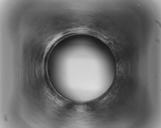 X0000100980200200807011451