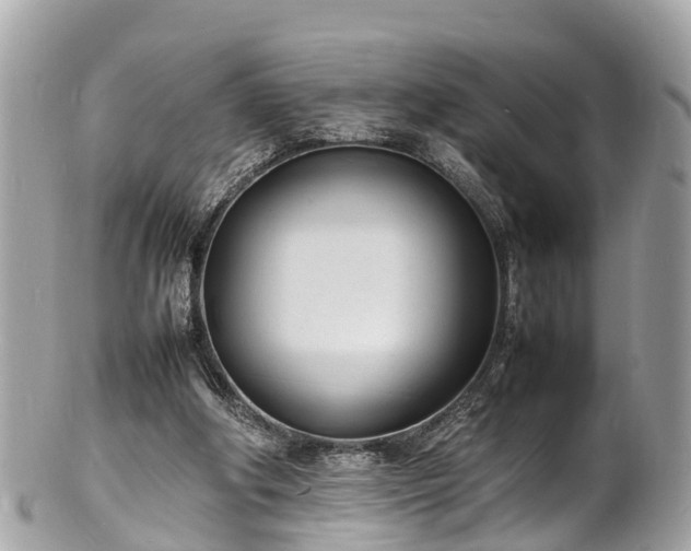 X0000100980202200807011451