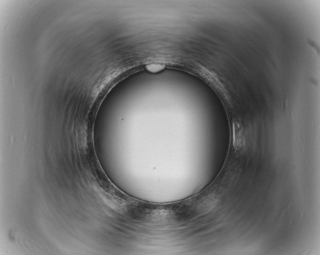 X0000100980204200807011451