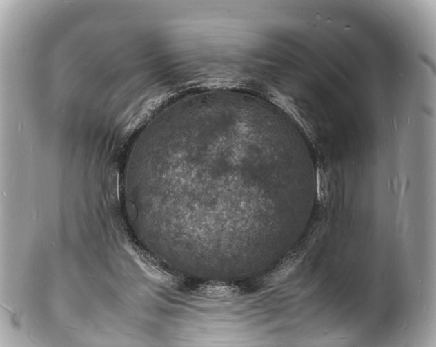 X0000100980205200807011451