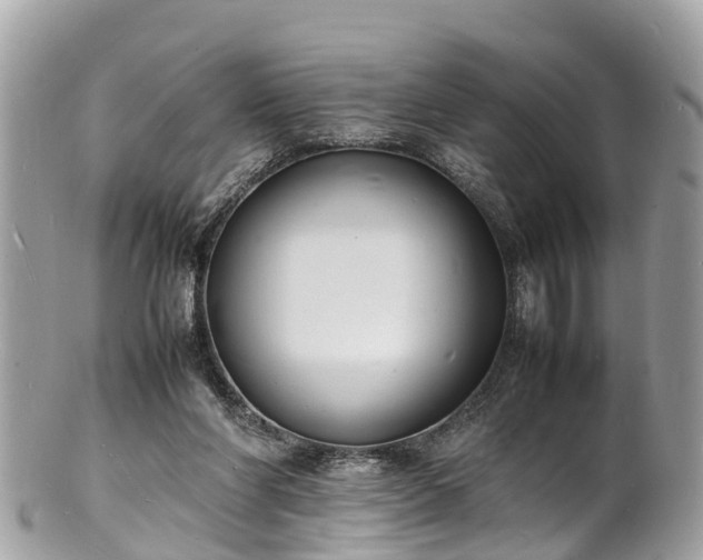 X0000100980206200807011451