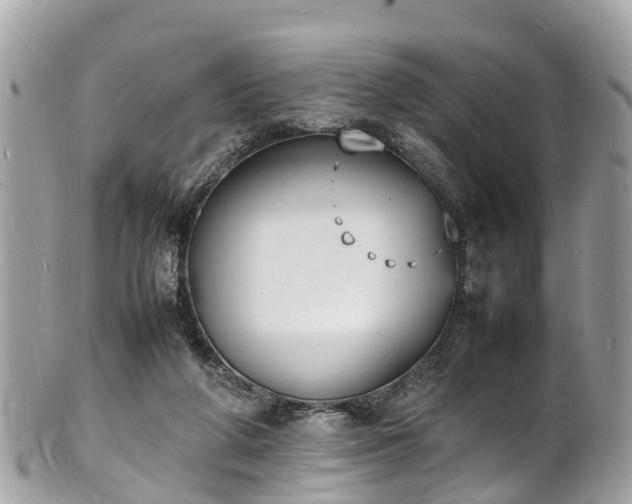 X0000100980210200807011451