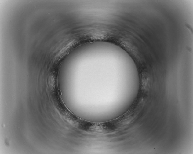 X0000100980211200807011451