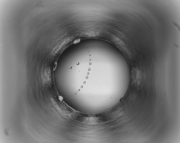 X0000100980212200807011451