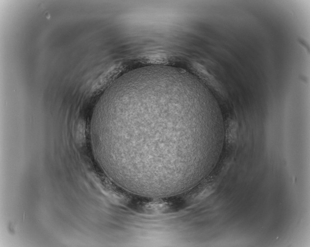 X0000100980213200807011451