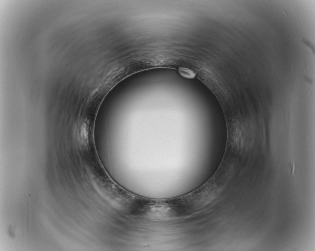 X0000100980214200807011451