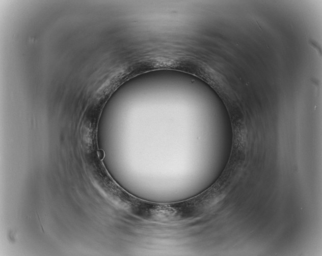 X0000100980215200807011451