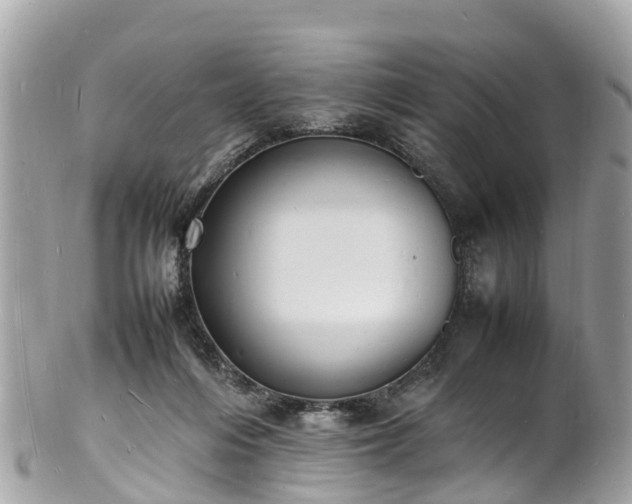 X0000100980216200807011451