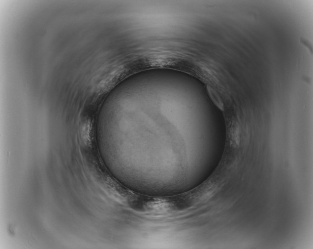 X0000100980219200807011450