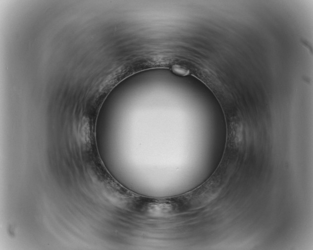 X0000100980220200807011450