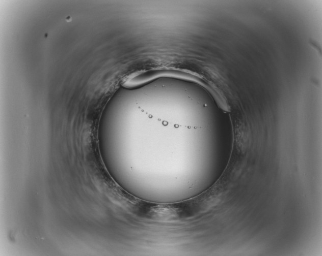 X0000100980221200807011450