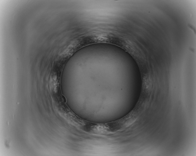 X0000100980223200807011450