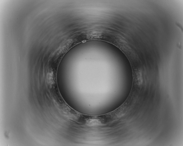 X0000100980224200807011450