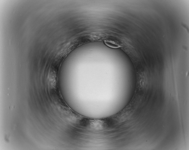 X0000100980226200807011450