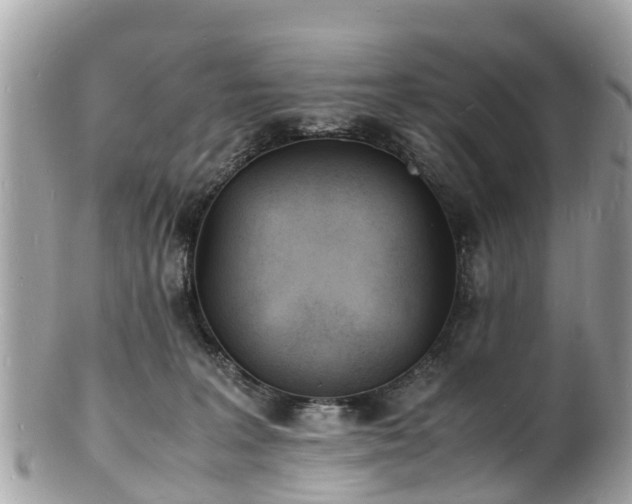 X0000100980227200807011450