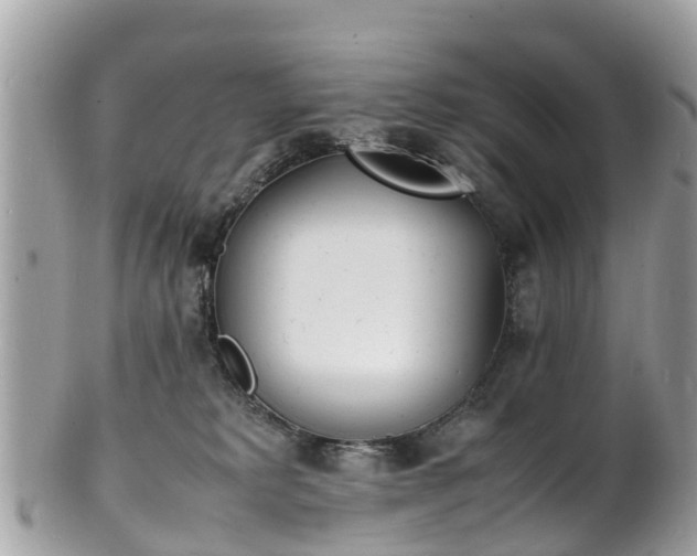 X0000100980229200807011450