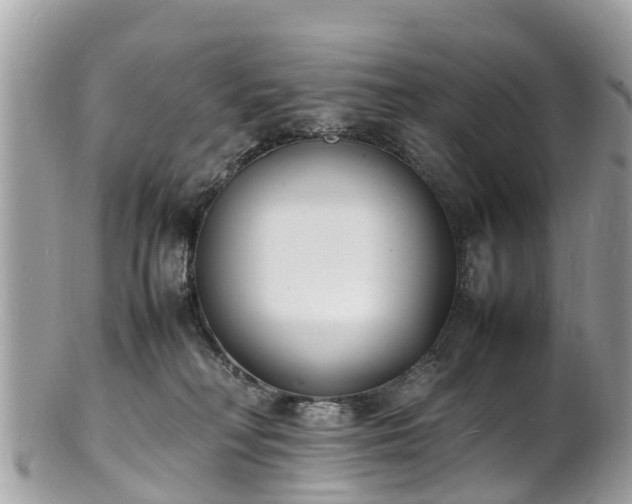 X0000100980230200807011450