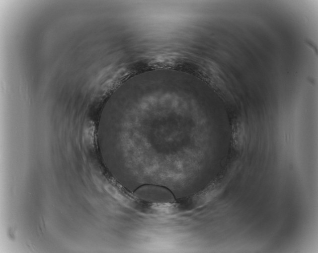 X0000100980231200807011450