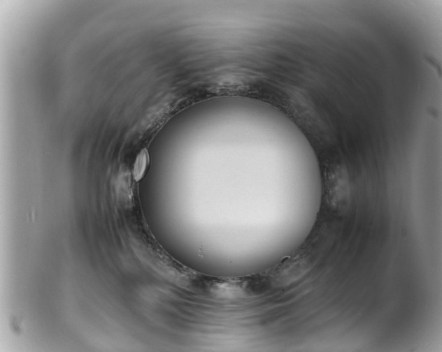 X0000100980232200807011450