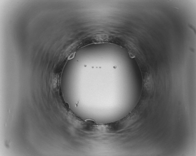 X0000100980233200807011450