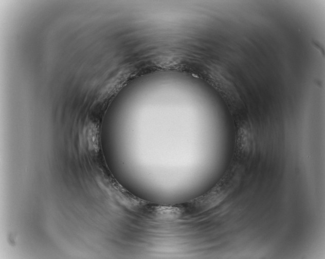 X0000100980234200807011450