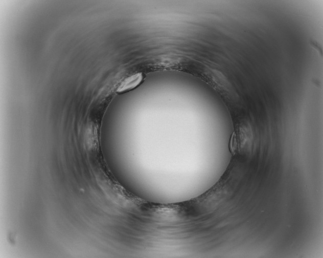 X0000100980236200807011450