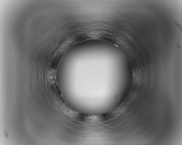 X0000100980237200807011450