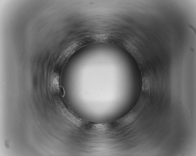 X0000100980238200807011450